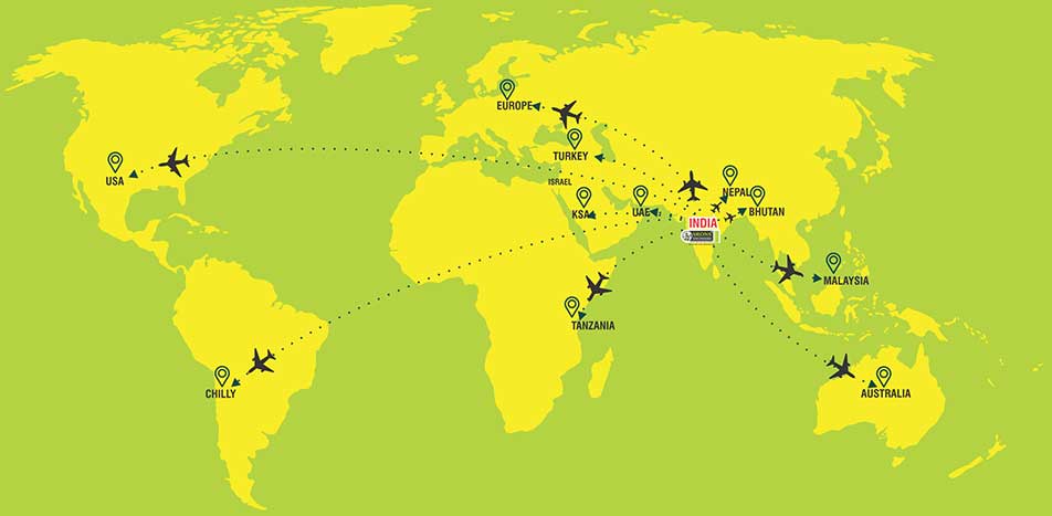 Srons Engineers Clients Self Drilling Anchor Rock Bolts Tunnel & Mining Bolts manufacturers exporters in India